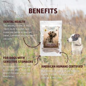 All American Canine Duck Necks Natural Single Ingredient Chewy Digestible Low-Fat Dehydrated Dog Treats for Training, Rewarding, Teeth Cleaning - 12 Treats