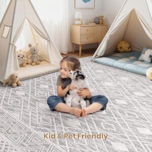 DEXIDUO Area Rugs for Living Room Rug: 9x12 Soft Washable Rugs Low Pile Non-Slip Backing Indoor Floor Rugs for Living Room Bedroom Kitchen Dining Under Table Home Office,Grey