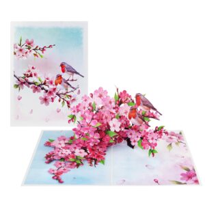 Mothers Day Card, Pop Up Valentines Day Birthday Anniversary Cards, 3D Get Well Soon Thank You Card (Size 6x8 In – Cherry Blossom Robins Couple).