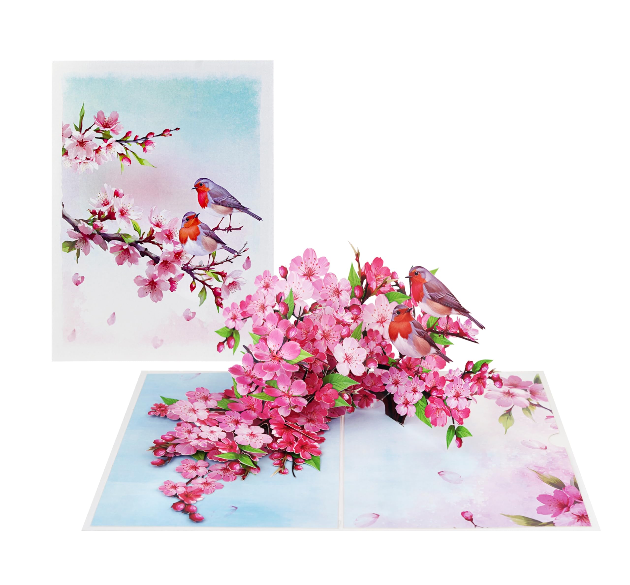 Mothers Day Card, Pop Up Valentines Day Birthday Anniversary Cards, 3D Get Well Soon Thank You Card (Size 6x8 In – Cherry Blossom Robins Couple).