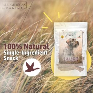 All American Canine Duck Necks Natural Single Ingredient Chewy Digestible Low-Fat Dehydrated Dog Treats for Training, Rewarding, Teeth Cleaning - 12 Treats