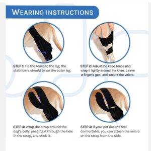 Dog Knee Brace for Torn ACL Hind Leg - Adjustable Leg Support for Hip Dysplasia, Dog Arthritis, Inflammation, Luxating Patella - Comfortable and Durable Dog Leg Braces for Back Leg - Black (Small)