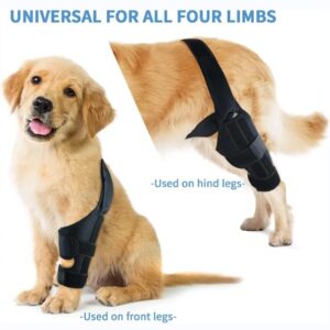 Dog Knee Brace for Torn ACL Hind Leg - Adjustable Leg Support for Hip Dysplasia, Dog Arthritis, Inflammation, Luxating Patella - Comfortable and Durable Dog Leg Braces for Back Leg - Black (Small)