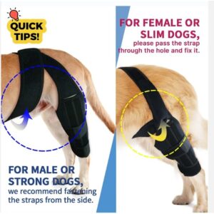 Dog Knee Brace for Torn ACL Hind Leg - Adjustable Leg Support for Hip Dysplasia, Dog Arthritis, Inflammation, Luxating Patella - Comfortable and Durable Dog Leg Braces for Back Leg - Black (Small)