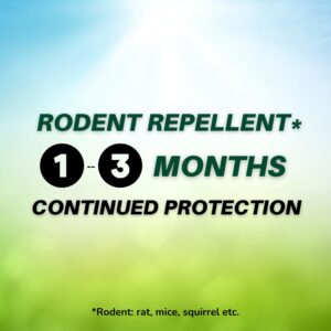 NatShield Rodent Repellent (Pack of 10), Strength Natural Mice Repellent Pouches, Botanical Pest Control Indoor, Cinnamon/Peppermint Oil to Repel Mice and Rats in Shed/Attic/Cabin/RV/Boat/Garage