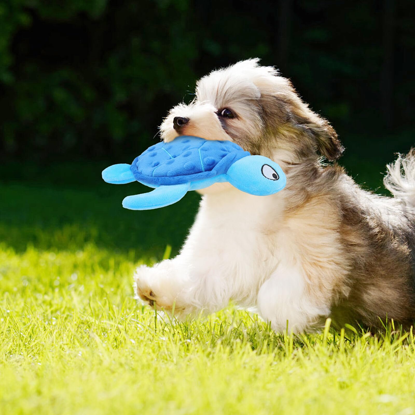 TONYFY Squeaky Sea Turtle Plush Dog Toy - Durable, No Stuffing, Interactive Chew Toy for Small Dogs - Relieve Anxiety, Teething, and Keep Them Busy for Puppy(Blue)