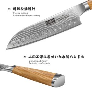 HOSHANHO Damascus Santoku Knife 7 Inch Kitchen Knife in Japanese Steel AUS-10