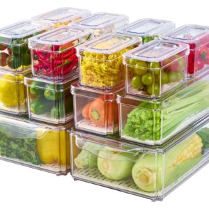 JollyPack 14 Pack Fridge Organizers, Refrigerator Organizer Bins with Lids, BPA Free Stackable Fruit Storage Containers for Fridge, Vegetables, Food and Drinks