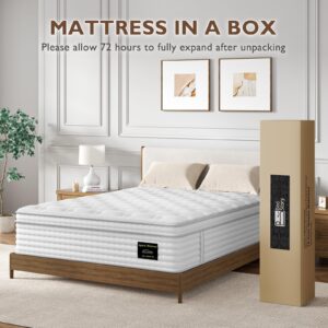 BedStory Full Mattress - 12 Inch Hybrid Mattress in a Box - Individual Pocket Springs and Memory Foam for Pressure Relief and Motion Isolation, CertiPUR-US