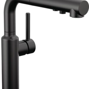 Delta Faucet Daneri Pull-Out Kitchen Faucet, Black Kitchen Faucets with Pull-Out Sprayer, Kitchen Sink Faucet, Faucet for Kitchen Sink with Magnetic Docking, Matte Black 16879-BL-DST