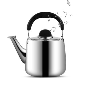 tea kettle,whistling tea kettle for stove top,4 qt stainless steel teapot,induction tea kettle pot for stovetop (3.8 l,silver)