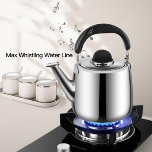 Tea Kettle,Whistling Tea kettle for Stove Top,4 QT Stainless Steel Teapot,Induction Tea Kettle Pot for Stovetop (3.8 L,Silver)