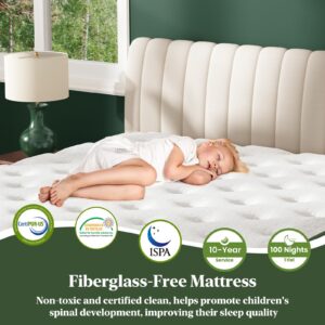 Twin Mattress, 10-Inch Plush Luxury Hybrid Mattress, Fiberglass-Free Mattress in a Box with Gel Memory Foam, Individual Pocket Spring for Motion Isolation-Edge Support,CertiPUR-US,100 Nights Trial