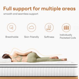 Schow Life Queen Mattress,12 inch Hybrid Mattress Queen Size,Medium Firm Mattress with Memory Foam and Pocket Springs,Breathable Cover 12 inch Queen Bed in a Box,60"X80"X12"