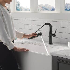 Delta Faucet Daneri Pull-Out Kitchen Faucet, Black Kitchen Faucets with Pull-Out Sprayer, Kitchen Sink Faucet, Faucet for Kitchen Sink with Magnetic Docking, Matte Black 16879-BL-DST