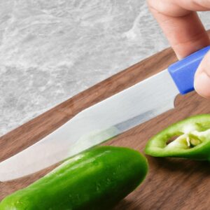 Generic Quick Slicing Knife, 2024 New 3 in 1 Multifunctional Fruit Peeling Knife with Removable Spring, Kitchen Household Sharp Stainless Steel Fruit and Vegetable Fruit Slicing Knife (1)