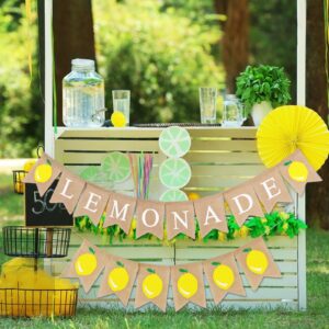 Lemonade Banner, Burlap Lemonade Stand Banner, Lemonade Stand Decorations Lemonade Sign Hanging Bunting Lemon Theme Party Decor Garland Flag for Bridal Shower Birthday Barbecue Party Supplies