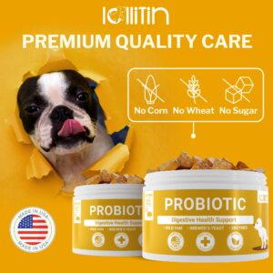 Lollitin Dog Supplement - Made in USA - All Natural - Dog Chews 120 Count - Dog Supplements for Small, Medium, Large Dogs, All Breeds (Probiotic)