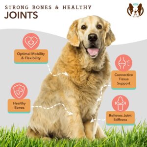 Natural Dog Company Senior Dog Salmon Oil Mobility Bundle, (1) Coldwater Atlantic Salmon Oil 16 oz., (1) Hip & Joint Chews 90 Count, Omega 3, Glucosamine Chondroitin for Dogs, Fish Oil for Dogs