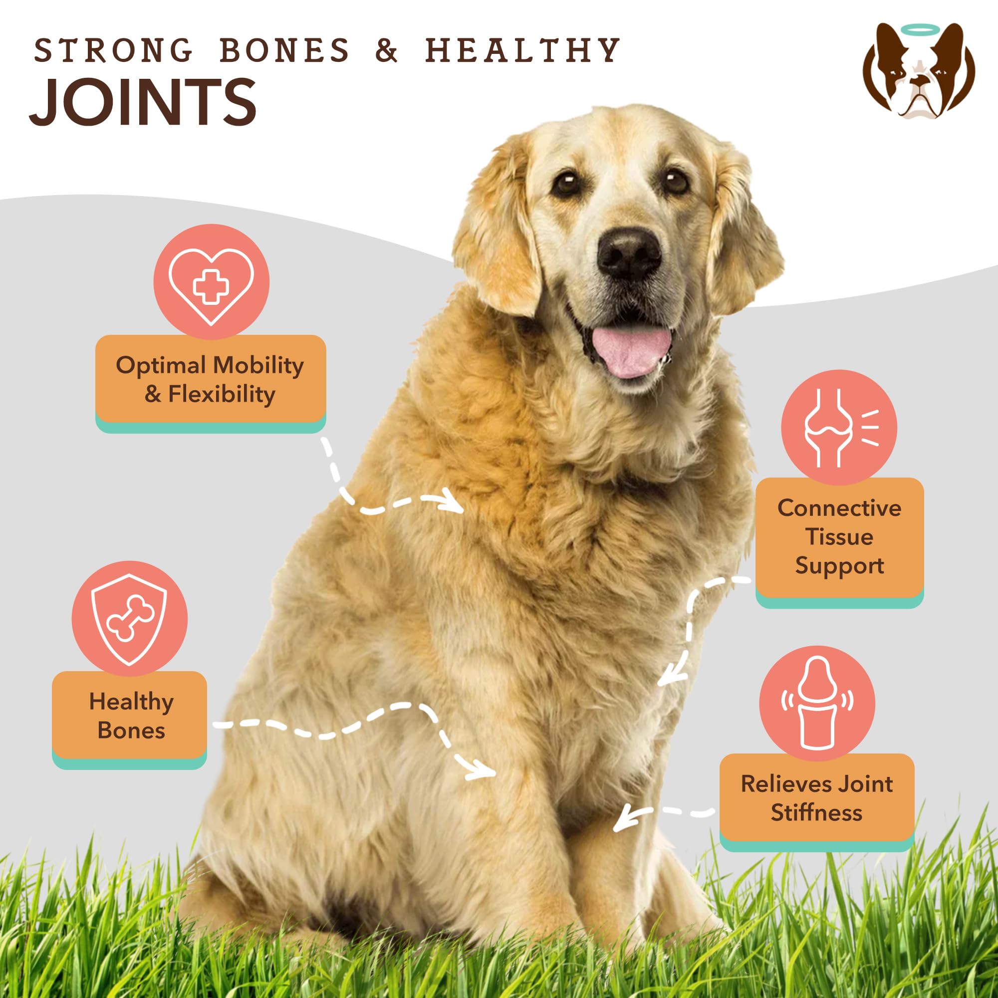 Natural Dog Company Senior Dog Salmon Oil Mobility Bundle, (1) Coldwater Atlantic Salmon Oil 16 oz., (1) Hip & Joint Chews 90 Count, Omega 3, Glucosamine Chondroitin for Dogs, Fish Oil for Dogs