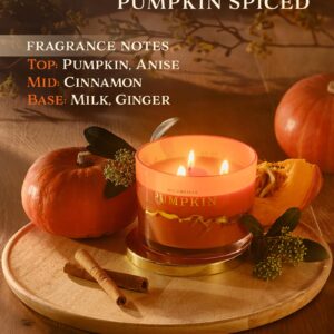 1771 Aromas Pumpkin Spice Scented Candles - 100% Natural Soy Wax - Large 3 Wick Jar Candle - Fall Candles - Up to 50 Hours Burning - Aromatherapy Candles - Housewarming Gift for Men and Women