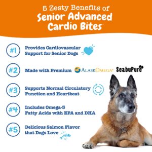 Zesty Paws Cardiovascular Support for Dogs - Taurine for Dogs, CoQ10 for Dogs, L Carnitine & Sea Buckthorn for Senior Dog Heart Health - AlaskOmega Fish Oil Omega 3 - Senior - Salmon - 90 Count