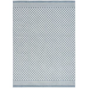 nourison casual blue 5'3" x 7' area rug easy clean, non shedding, bed room, living room, dining room, kitchen (5' x 7')