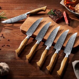 SENKEN 6-Piece Damascus Steel Steak Knife Set - Non-Serrated Steak Knives with Sycamore Wood Handles - The Dynasty Collection - 67-Layer Japanese VG10 Steel (6-Piece Steak Knife Set)