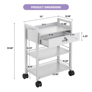 biosp Salon Trolley Cart, 3 Tier Trolley On Wheels, Wooden Medical Dental Esthetic Mobile Untility Cabinet with Steel Frame, White Rolling Storage Station with 1 Lockable Drawer for Spa, Massage