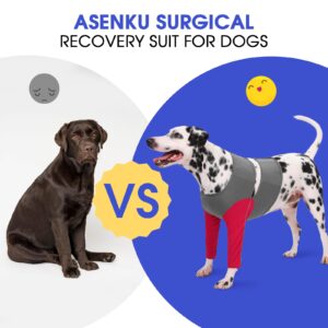 ASENKU Professional Recovery Suit for Dogs, Soft Breathable Front Legs Recovery Sleeve to Stop Licking, Female & Male Dog Leg & Elbow Protector for Wounds, Adjustable Dog Cone E-Collar Alternative