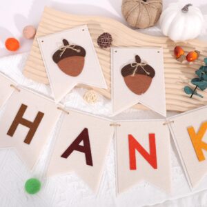 Thankful Felt Banner - Autumn Holiday Party Decorations, Fall Wall Fireplace Hanging Banner, Thankful Garland Photo Props, Fall Thankful Home Decorations (Thankful Felt Banner)