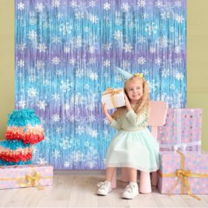 Frozen Party Decorations, 2Pack Frozen Snowflake 3.3x6.6ft Tinsel Foil Fringe Curtains Winter Photo Booth Prop Backdrops, Frozen Decorations for Birthday Snowflake Fringe Curtains for Frozen Party