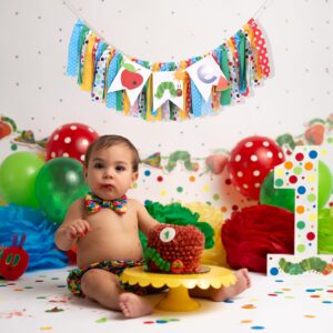 Caterpillar High Chair Banner,Very Hungry Caterpillar 1st Birthday High Chair Banner,Caterpillar Highchair Banner Photo Backdrop,Fruit Boy Girl First Birthday,Baby 1st Birthday Party Decorations