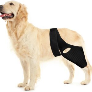 Huimpet Dog Hip Knee Leg Brace Dog ACL Brace for Front Torn and Back Hind Rear Legs ACL Tear, Dog Leg Brace for Hip Dysplasia, Dog Arthritis, Luxating Patella, Comfortable and Adjustable (L)