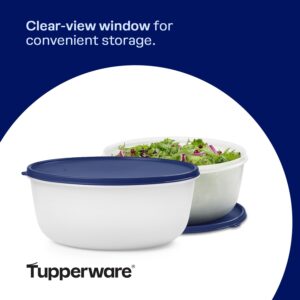 Tupperware Modular Bowl - Large 1.05 Gallon Food Storage Bowl - Dishwasher Safe & BPA Free - (4 L)