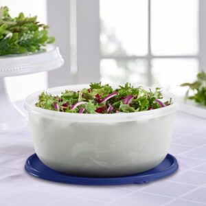 Tupperware Modular Bowl - Large 1.05 Gallon Food Storage Bowl - Dishwasher Safe & BPA Free - (4 L)