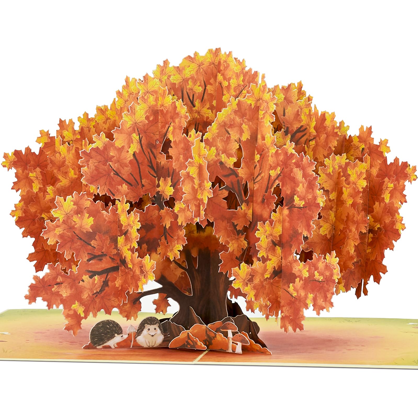 POPWOW Maple Tree Pop Up Card, Leaf, Leaves, Envelopes, Elegant 3D Greeting Cards, Ideal Gifts for Fall Birthday, Happy Autumn Themed, Season, Thanksgiving, All Occasions, 5x7