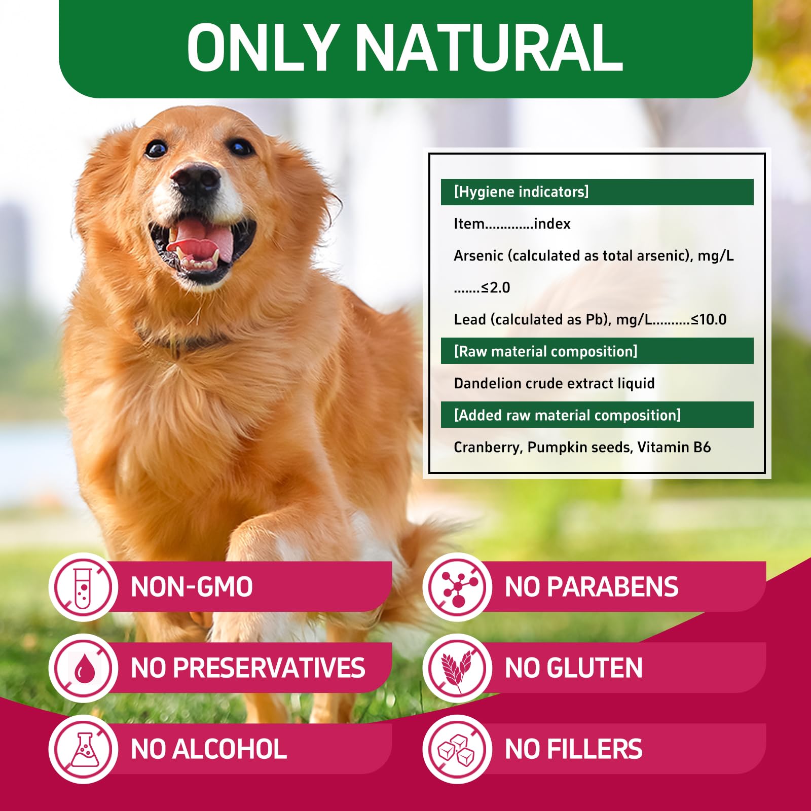 SDKJZXT Dog UTI Treatment - Effective Cat UTI Remedy and Cat UTI Medicine - Fast-Acting Relief for Pet Urinary Tract Infections - Safe and Gentle Formula for Dogs and Cats