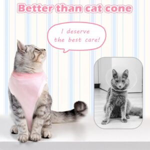 2Pack Cat Surgery Recovery Suit Clothes for Female and Male,Cat Onesie Shirts for Cat After Surgery,Cat Spay Surgical Recovery Suit Stop Licking Abdominal Wound,Cat Cone Collar Substitute-Pink&Blue,M