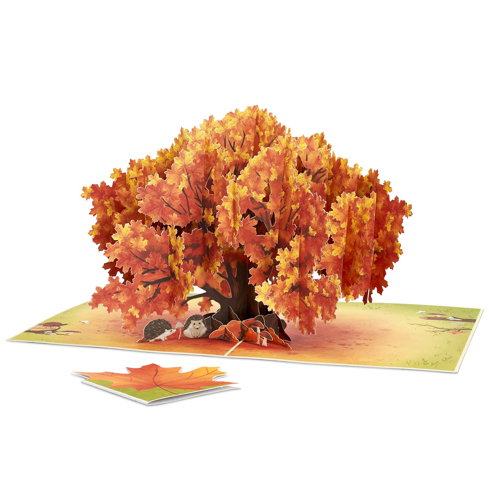 POPWOW Maple Tree Pop Up Card, Leaf, Leaves, Envelopes, Elegant 3D Greeting Cards, Ideal Gifts for Fall Birthday, Happy Autumn Themed, Season, Thanksgiving, All Occasions, 5x7