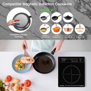 XKitchen Portable Induction Cooktop, 1800W Induction Burner with 9 Power levels, 12 temperature levels(140℉-465℉), Safety Lock, 3-Hour Timer, Countertop Burner with Warm Function, Black, 110V