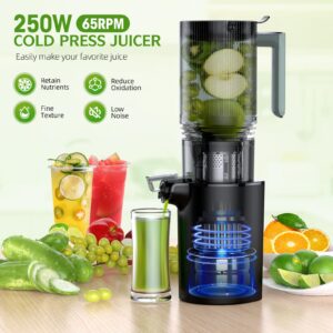 Cold Press Juicer, Slow Masticating Juicer with "6.1" Extra Large Feed Chute Fit Whole Fruits & Vegetables, Juicer Machines with 2 Cups, Easy to Clean and High Juice Yield