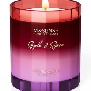 M&SENSE Apple Spice Soy Candles for Home Scented 10.6oz 60 Hour Long Lasting Slow Burning, Organic Natural Christmas Candle Highly Scented Winter Holiday Fragrance Gift for Women Men