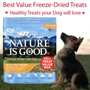 iHeartDogs Nature is Good Freeze-Dried Dog Treats - Vet-Approved, Filler-Free Raw Dog Treats - Chicken, 20 oz Value Pak