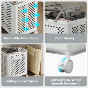 Desricy Collapsible Laundry Basket with Wheels and Handle, 50L Foldable Rolling Laundry Cart, Versatile Plastic Laundry Hamper, Dirty Clothes Hamper for Dorm, Bedroom and Bathroom, White