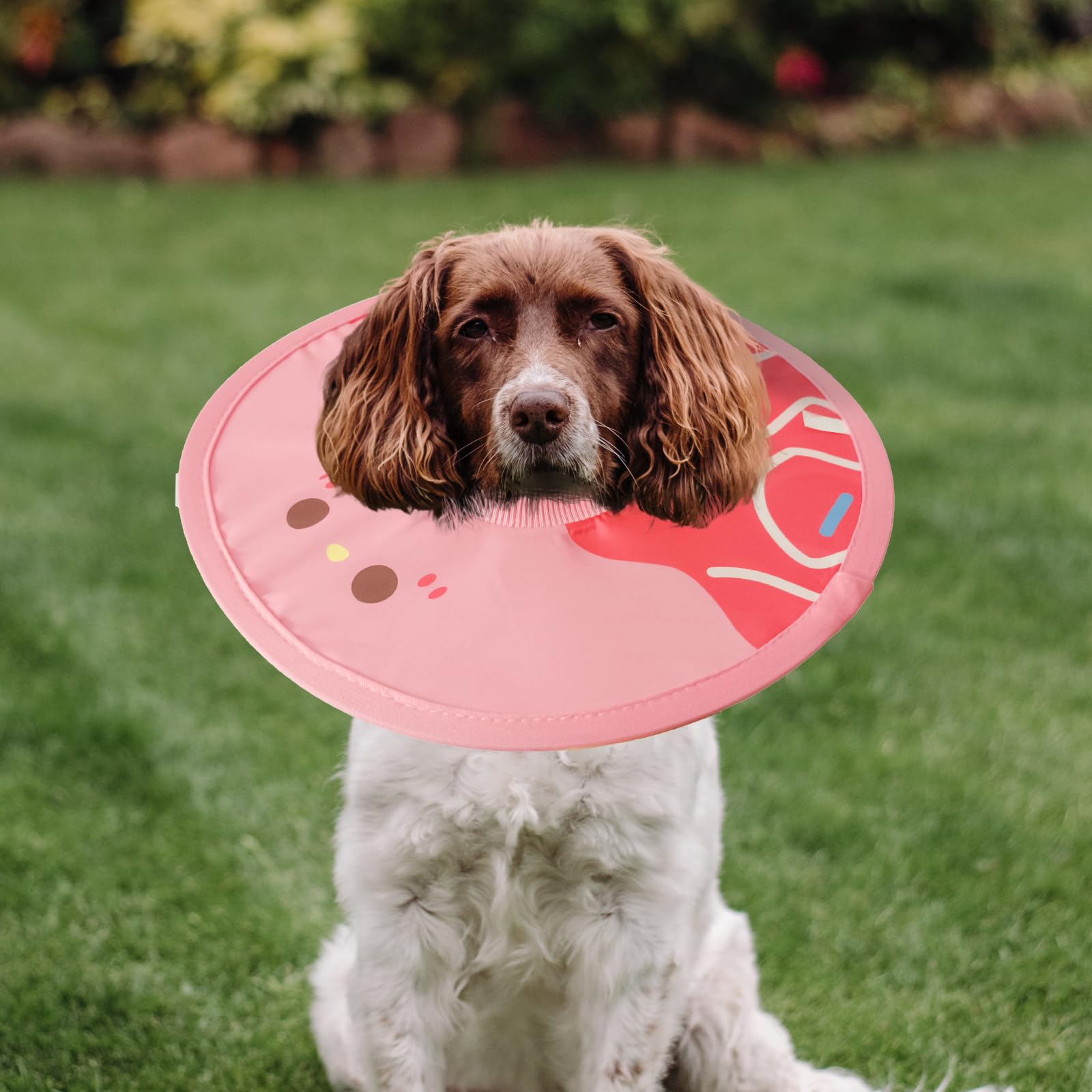 KUDES Waterproof Cat Dog Cone, Lightweight Cat Dog Cone E Collar with Low Noise Fasteners, Donut Cat Dog Pet Recovery Collar, Licking and Scratching Free Cone Pet Surgery Collar