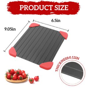 Spectabilis Defrosting Tray for Frozen Meat, Miraculous Rapid Natural Heating Defroster, Small Size Thawing Plate