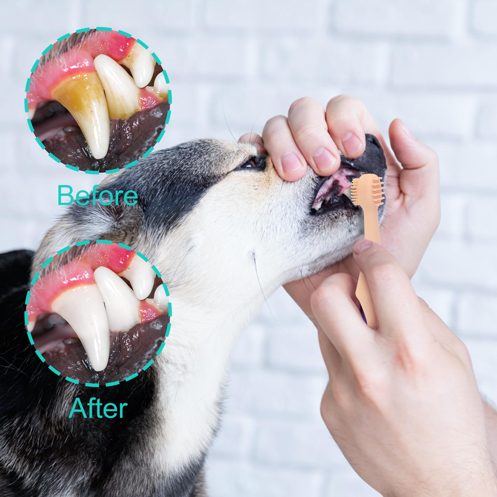 YELUFT Dog Toothbrush, Dog Tooth Brushing Kit with 360° Finger Toothbrush and Dual Head Dog Cat Toothbrush, Food Grade Silicone Dog Teeth Cleaning Kit, 3pcs Ultra-Soft Pet Dog Dental Care Toothbrush