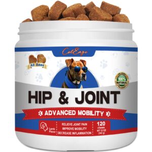 joint supplement for dogs glucosamine for dogs heart shaped chews hip & joint supplement for dogs 120 count lamb flavor