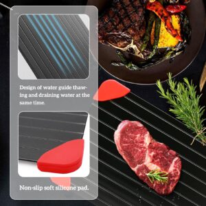 Spectabilis Defrosting Tray for Frozen Meat, Miraculous Rapid Natural Heating Defroster, Small Size Thawing Plate